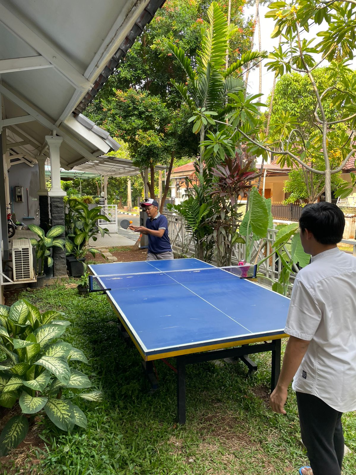 Table Tennis Session